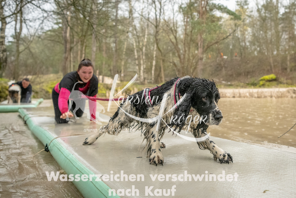 1056_ZZ93773-Bearbeitet | kk-dogfotos