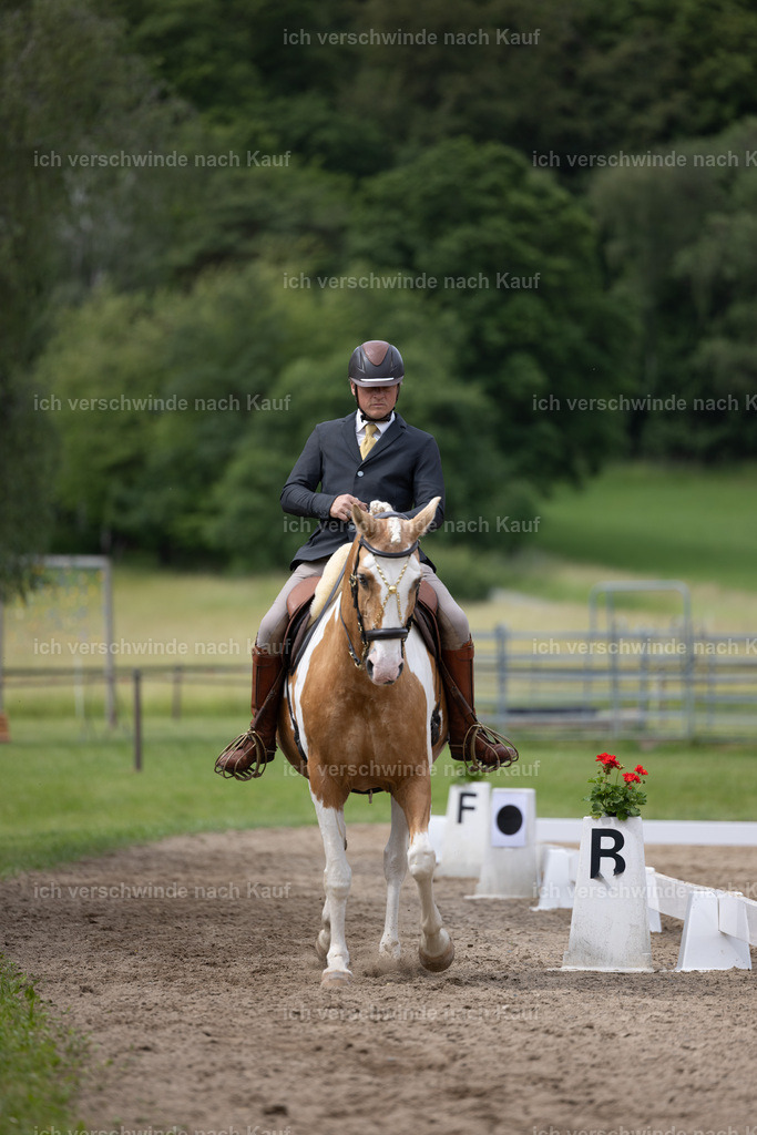 Masterclass_stoibphotography_C2_L5249.CR3 | working equitationturnier fotograf videograf stoibphotography marixx film working equitation deutschland reitsport turnierfotografie eventfotografie equestrian events