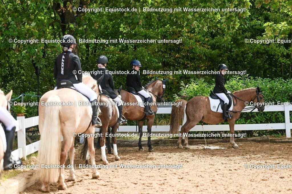 20230716_10-3_Reiter-WB Schritt - Trab - Galopp_0136 | equistock