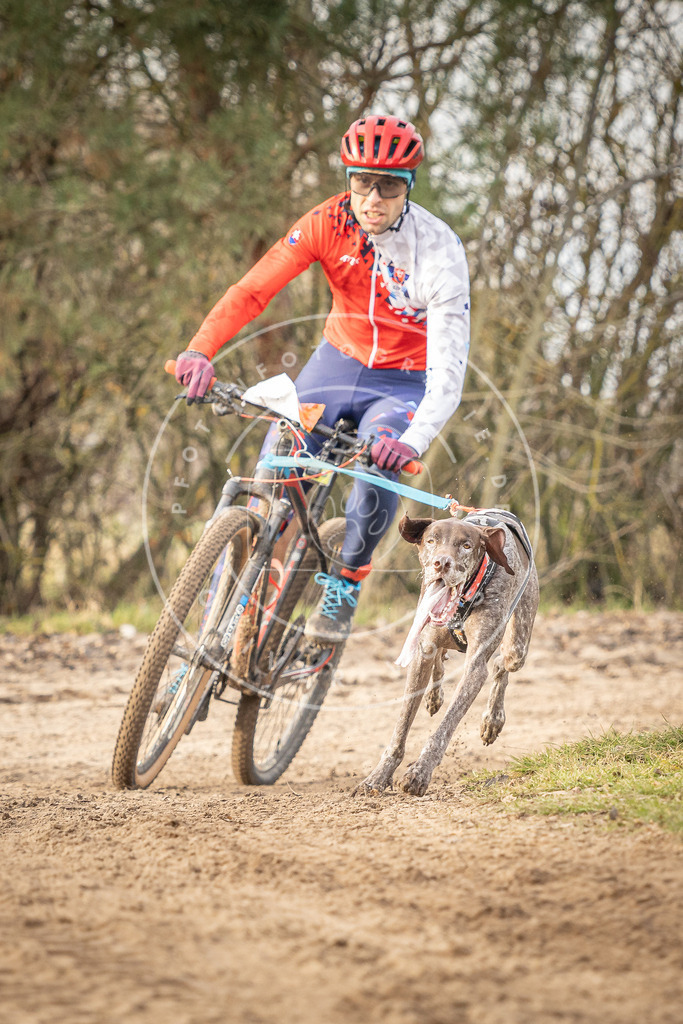 Pfotenfotografie_DV3A7153 | Hundefotografie, Tierfotograf, Pfotenfotografie, Fotoshooting Hund, Hunde Portrait, Hundesport, Hundeportraits, Heideshooting, Hunde, Sportfotograf, Hundefotograf, Turnierhundsport, THS,  - Realisiert mit Pictrs.com