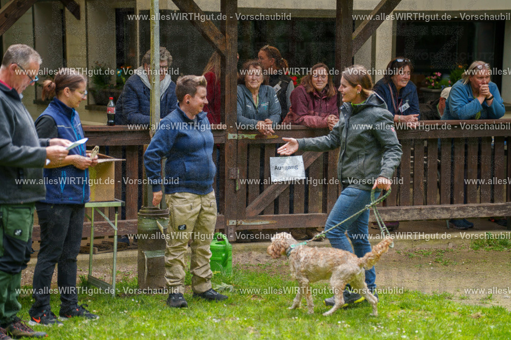 @allesWIRTHgut_Tierfotografie - www.allesWIRTHgut.de - 114853-7R508564 | Professionelle Tierfotografie in Mönchengladbach von Daniel Wirth (allesWIRTHgut). Liebevolle & natürliche Bilder von Hunden & Katzen für unvergessliche Erinnerungen.
