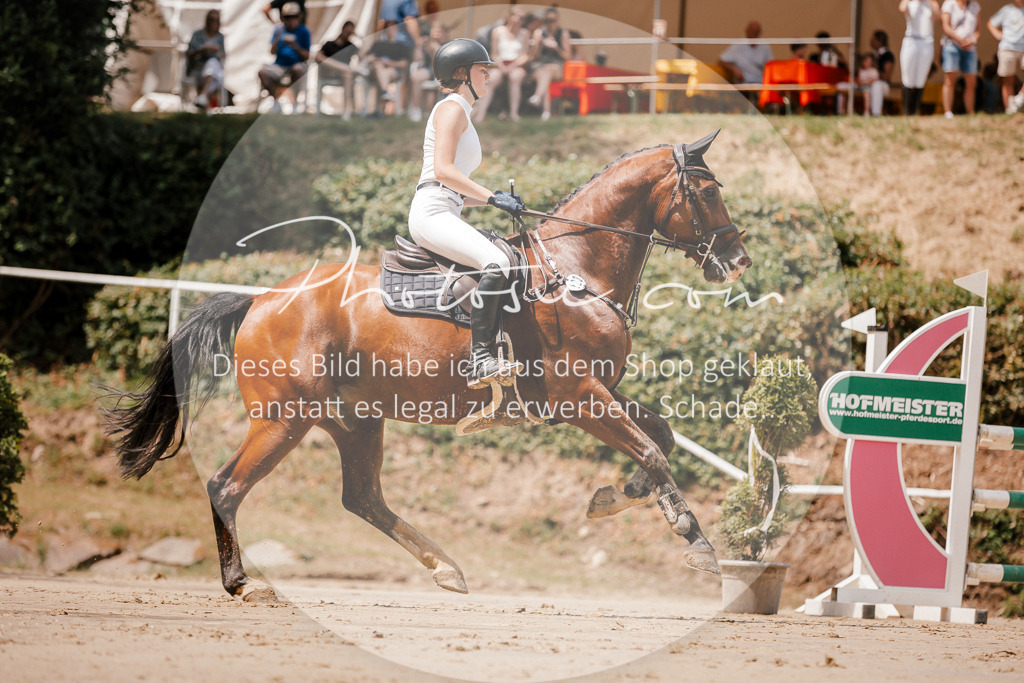 3I6A7817 | Stimmungsvolle Portraits und Reitsportfotografie im Ruhrgebiet und im Münsterland.

Pferdefotografie, Hundefotografie, Tierfotografie, Reportagen, Portraits von Tier und Mensch, Turnierfotografie in Bochum, Recklinghausen, Marl, Haltern am See, Dülmen.. - Realisiert mit Pictrs.com