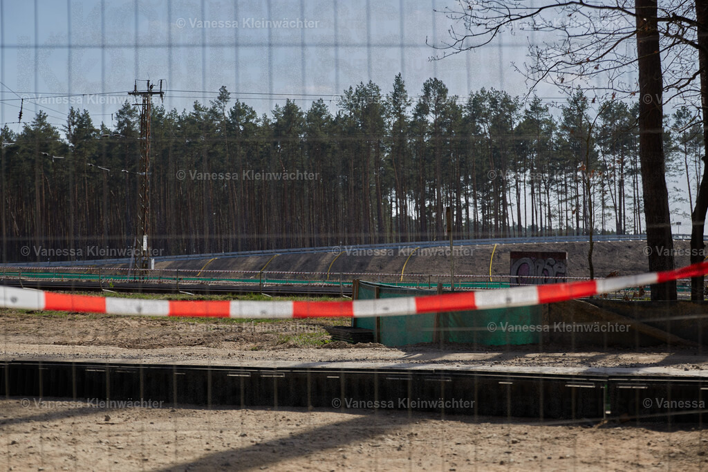 250412_TeslaWaldspaziergang_00041 | Vanessa Kleinwächter - Realisiert mit Pictrs.com