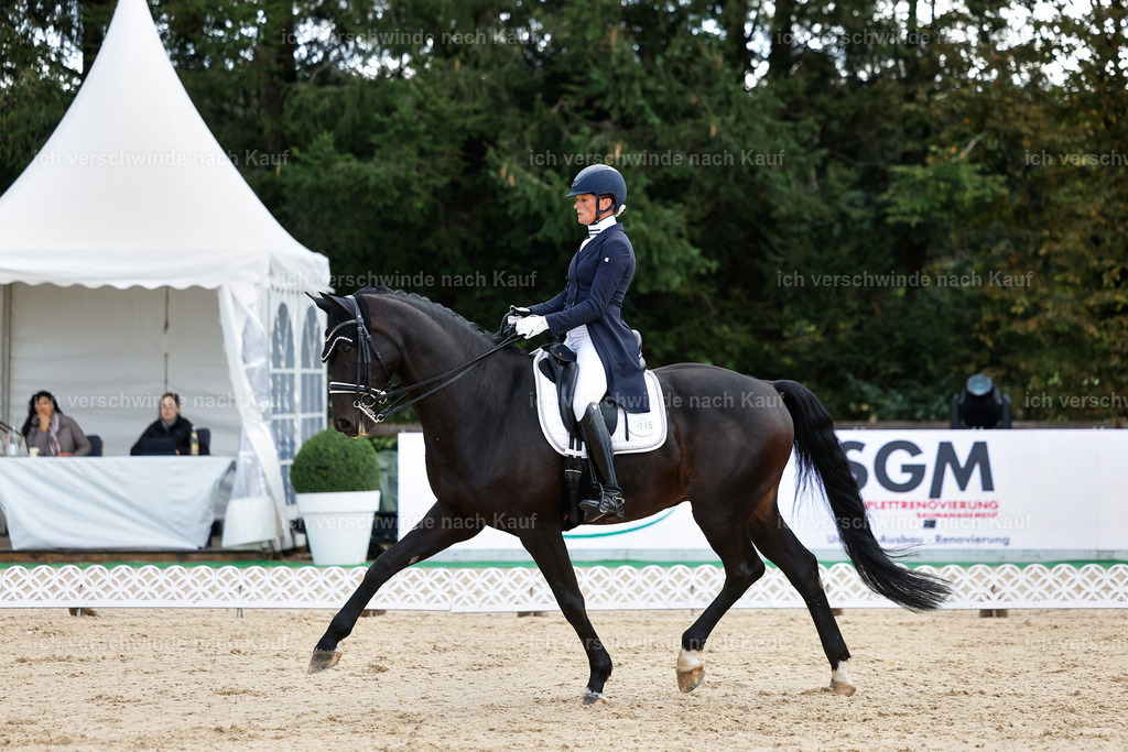10-115-ST.GEORG SPECIAL -StoibPH-3190 | working equitationturnier fotograf videograf stoibphotography marixx film working equitation deutschland reitsport turnierfotografie eventfotografie equestrian events