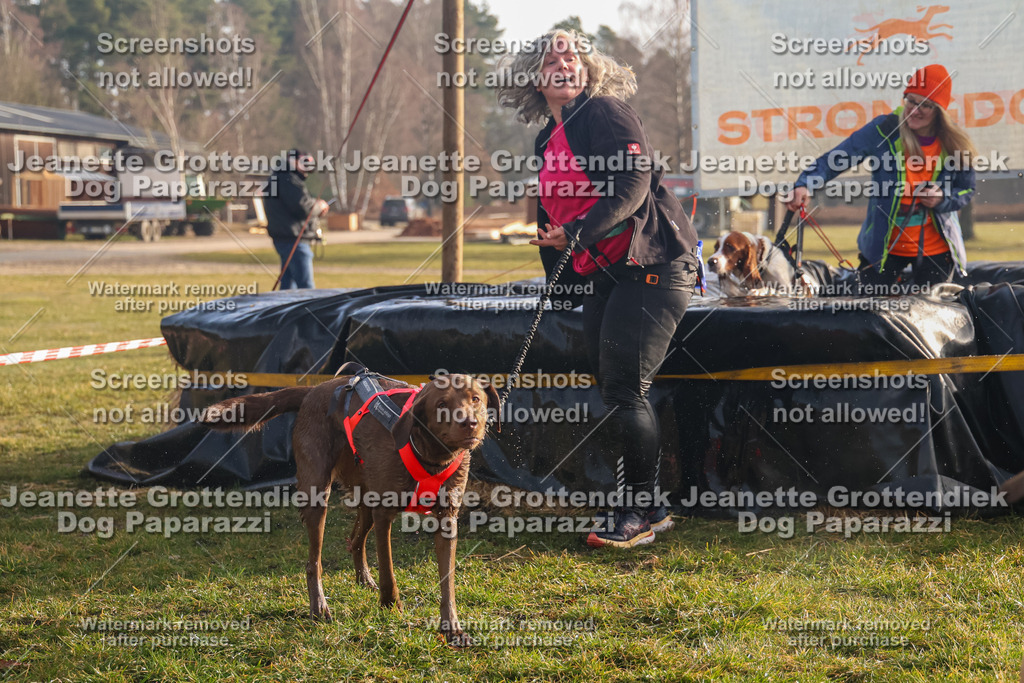 Dog Paparazzi - SD North 0326 900930-221 | Dog Paparazzi Jeanette Grottendiek Fotografie & Videografie - Realisiert mit Pictrs.com