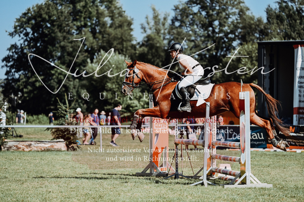DSC_6970 | Pferde- und Turnierfotografie in Westsachsen. Pferdeportraits, Auftragszeichnungen und intuitive Kunst.
