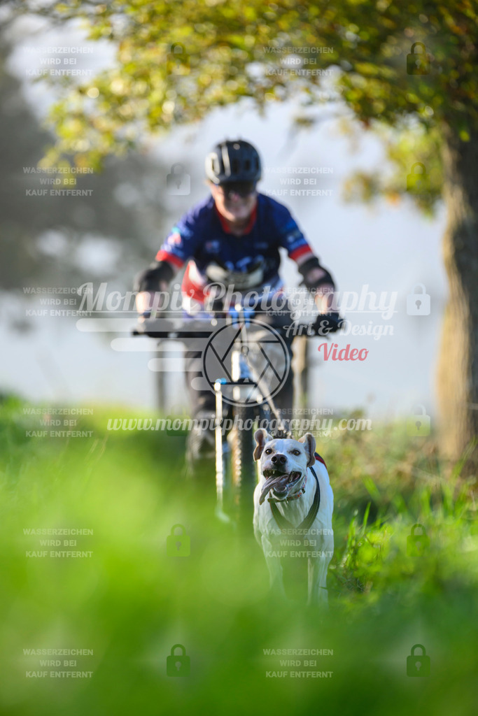 MompixPhotography_20TSB_E3_Bike-206 | PayLife