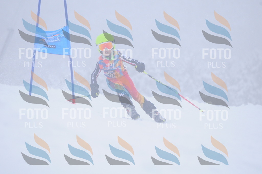 C2216 | holidayphoto