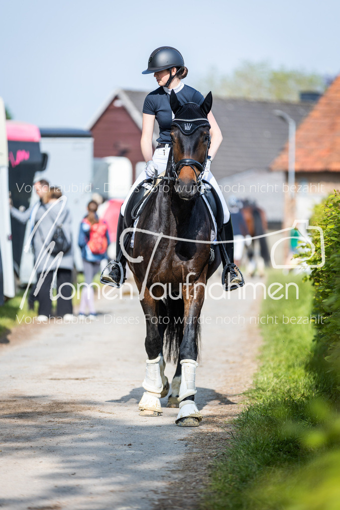 HH-Randmomente-004-2 | MomenTaufnahmen Pferdesportfotos