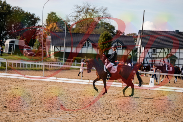 2026_10_03_Siefer-Hof_131021_Z63_72729528 | Professionelle Reitsport-, Turnier- und Eventfotografie von Robert Broda. Galerien mit ausgewählten und bearbeiteten Bildern direkt online ansehen und bestellen.