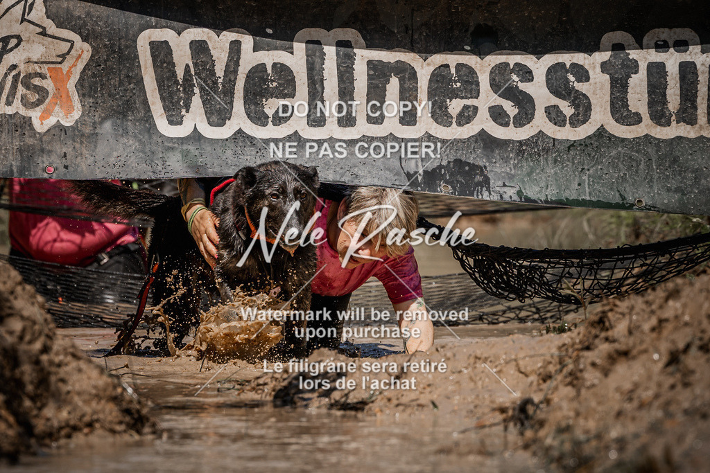 nelerasche_Hoope2026_Sa1330-1400_37 | nelerasche