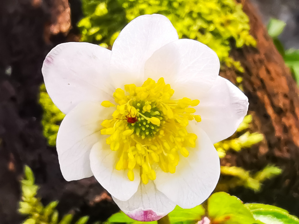 PSX_20230406_232824 | mtkfoto_ - Realisiert mit Pictrs.com