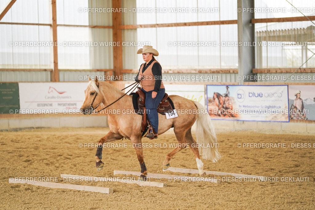 DSC03924 | Pferdegrafie