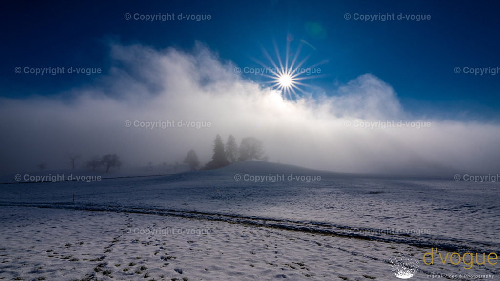 Hirzel | d-vogue - Realisiert mit Pictrs.com