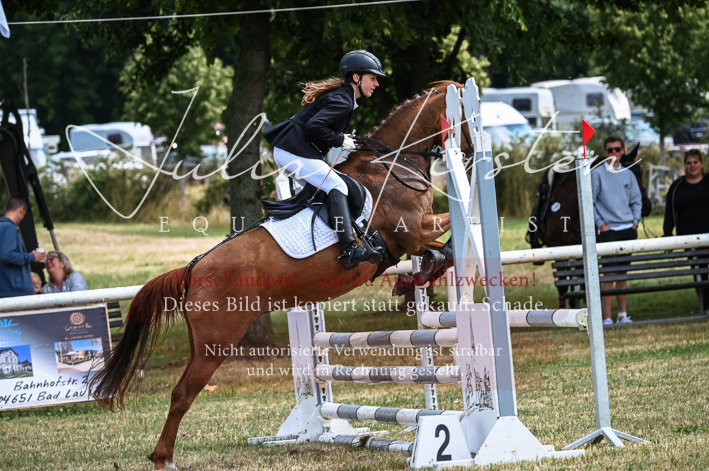 DSC_8575 | Pferde- und Turnierfotografie in Westsachsen. Pferdeportraits, Auftragszeichnungen und intuitive Kunst.