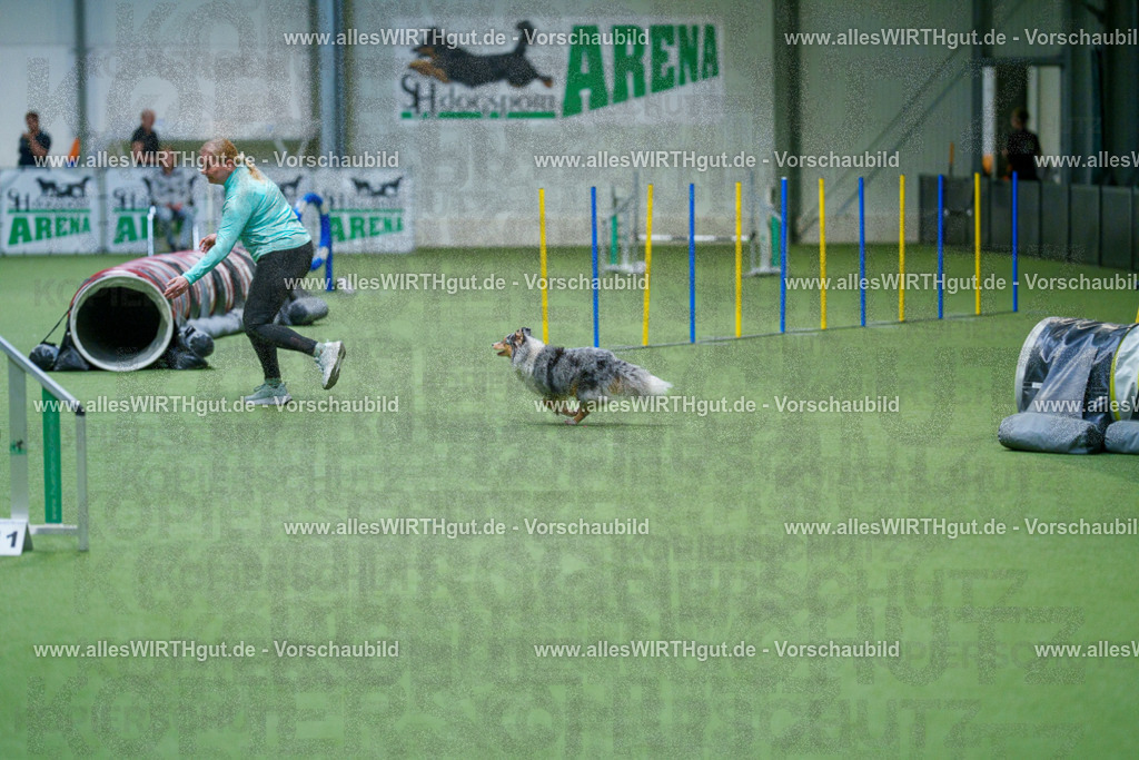@allesWIRTHgut_Tierfotografie - www.allesWIRTHgut.de - 2604250845-7R507626 | Professionelle Tierfotografie in Mönchengladbach von Daniel Wirth (allesWIRTHgut). Liebevolle & natürliche Bilder von Hunden & Katzen für unvergessliche Erinnerungen.