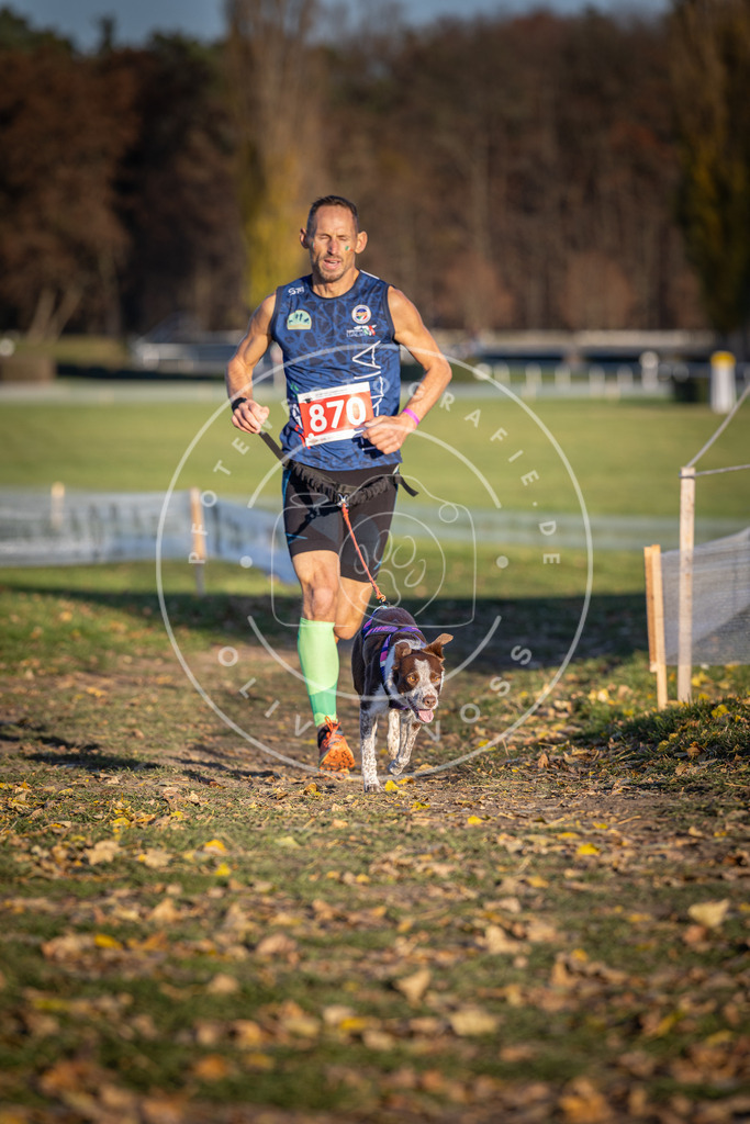 CaniXpix_DV3A4169 | Hundefotografie, Tierfotograf, Pfotenfotografie, Fotoshooting Hund, Hunde Portrait, Hundesport, Hundeportraits, Heideshooting, Hunde, Sportfotograf, Hundefotograf, Turnierhundsport, THS,  - Realisiert mit Pictrs.com