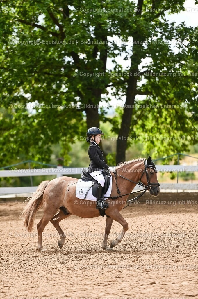 20230716_10-3_Reiter-WB Schritt - Trab - Galopp_0161 | equistock