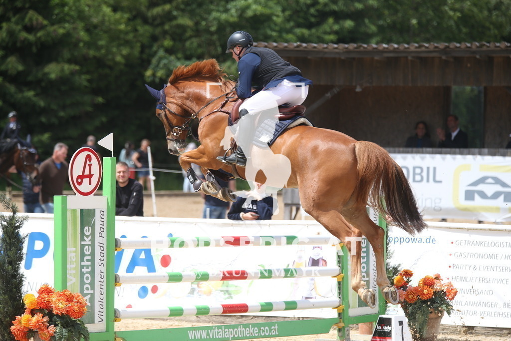 AS8V3609 | Willkommen bei Brunnmayr - Design & Fotografie – Ihrem Spezialisten für Reitturniere und Pferdeveranstaltungen in Oberösterreich, Salzburg und Bayern! Seit über 17 Jahren sind wir leidenschaftlich dabei.