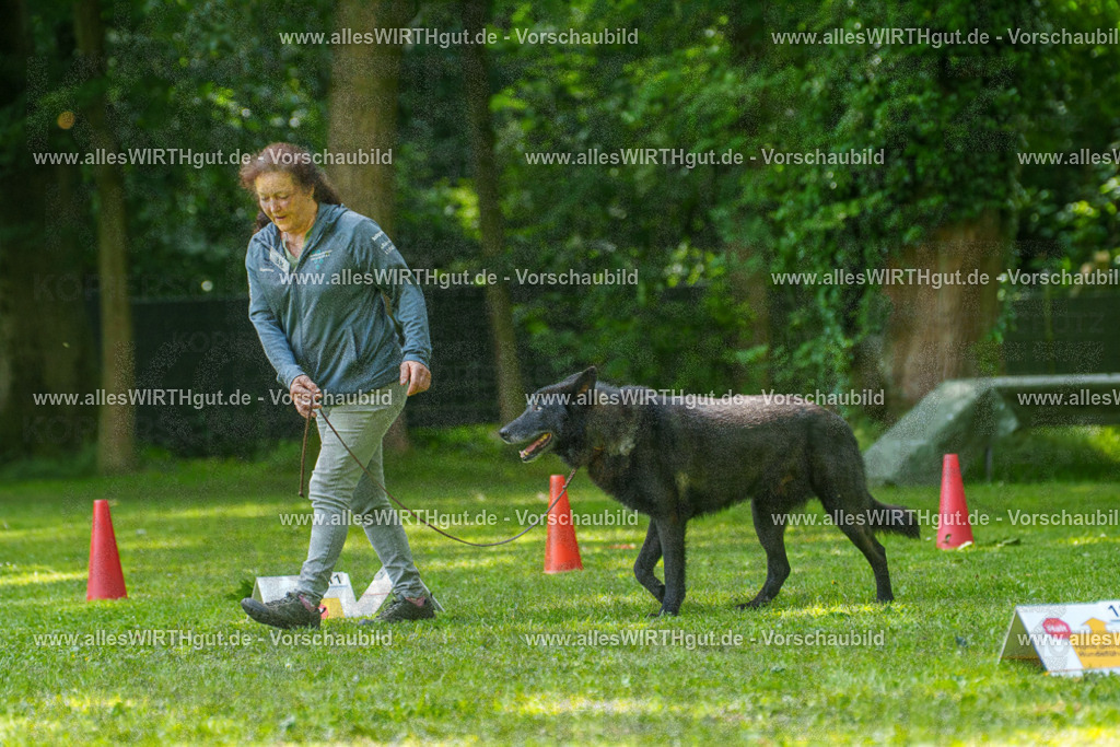 @allesWIRTHgut_Tierfotografie - www.allesWIRTHgut.de - 7R504714 | Professionelle Tierfotografie in Mönchengladbach von Daniel Wirth (allesWIRTHgut). Liebevolle & natürliche Bilder von Hunden & Katzen für unvergessliche Erinnerungen.