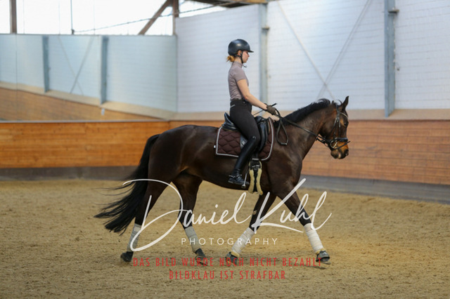 IMG_3501 | Turniersportfotografie; Pferdefotografie; Dressurfotografie