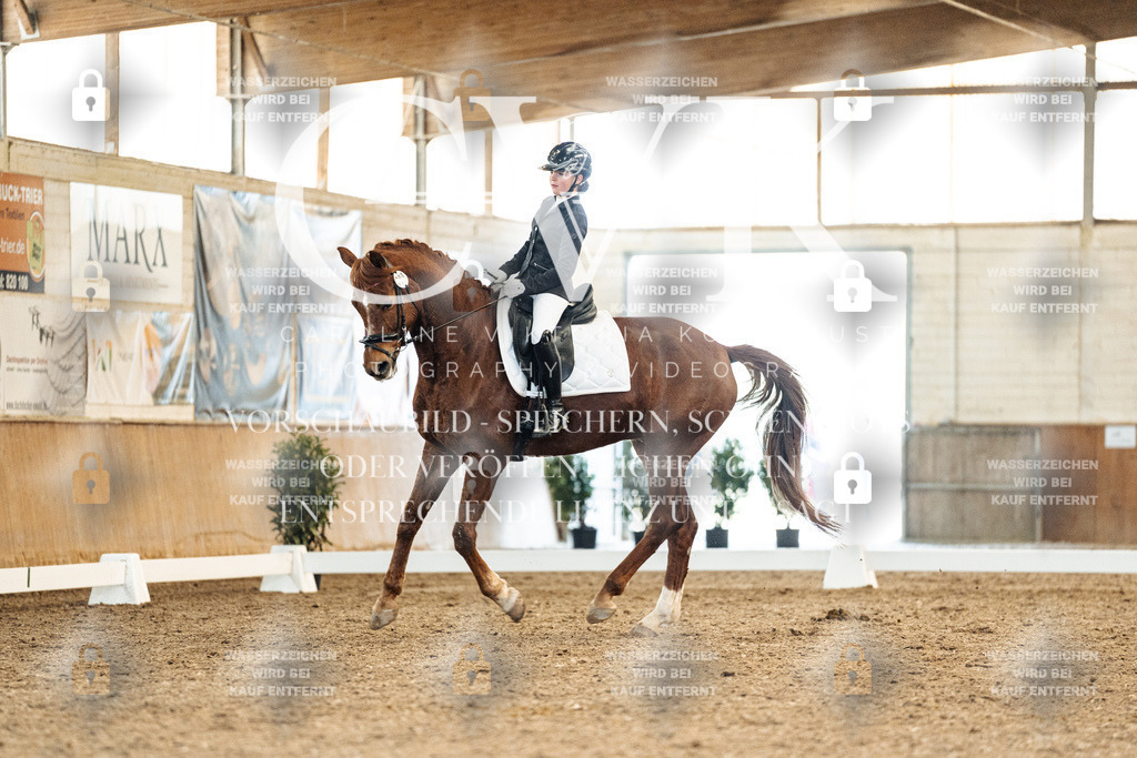 CK908326 | Turnierfotografie Pferdefotografie Trier Rheinland-Pfalz Pferdesport Reitsport Tierfotografie Sportfotografie Pferdevideo Pferdevideografie Equestrianvideography equestrianphotography  - Realisiert mit Pictrs.com