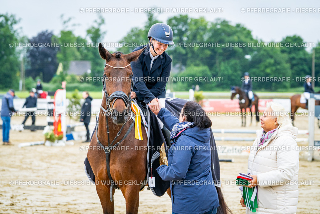 DSC02782 | Pferdegrafie