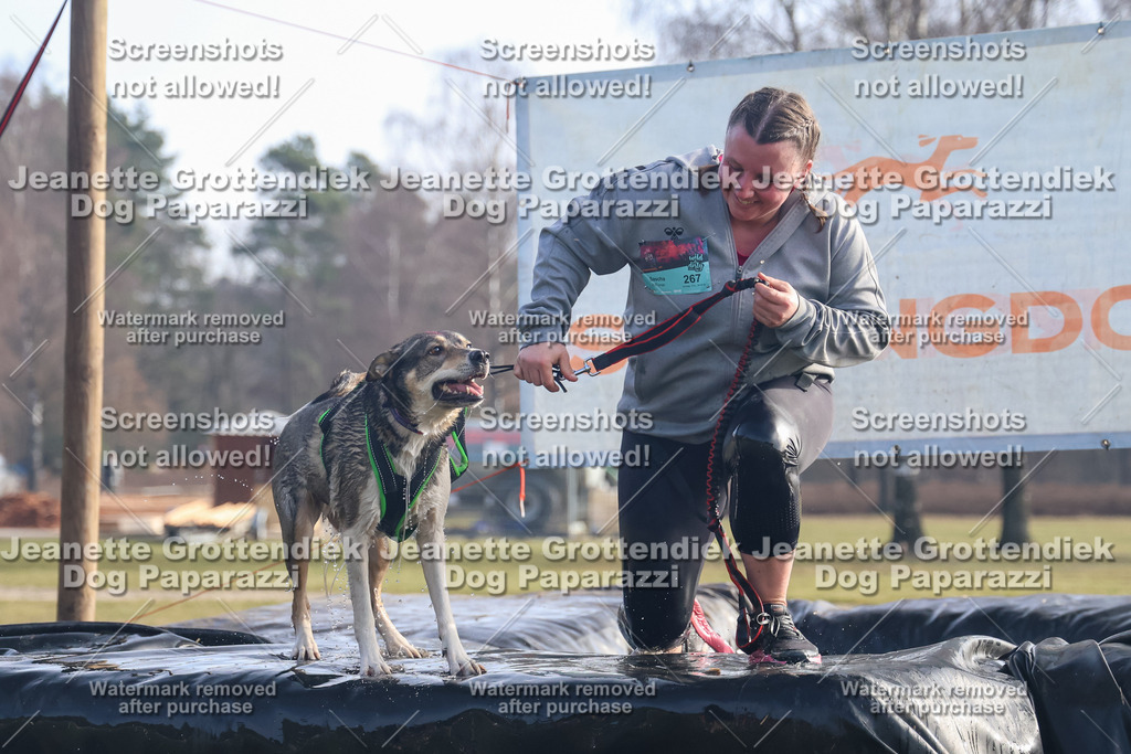 Dog Paparazzi - Strongdog North Mrz26-389 | Dog Paparazzi Jeanette Grottendiek Fotografie & Videografie - Realisiert mit Pictrs.com