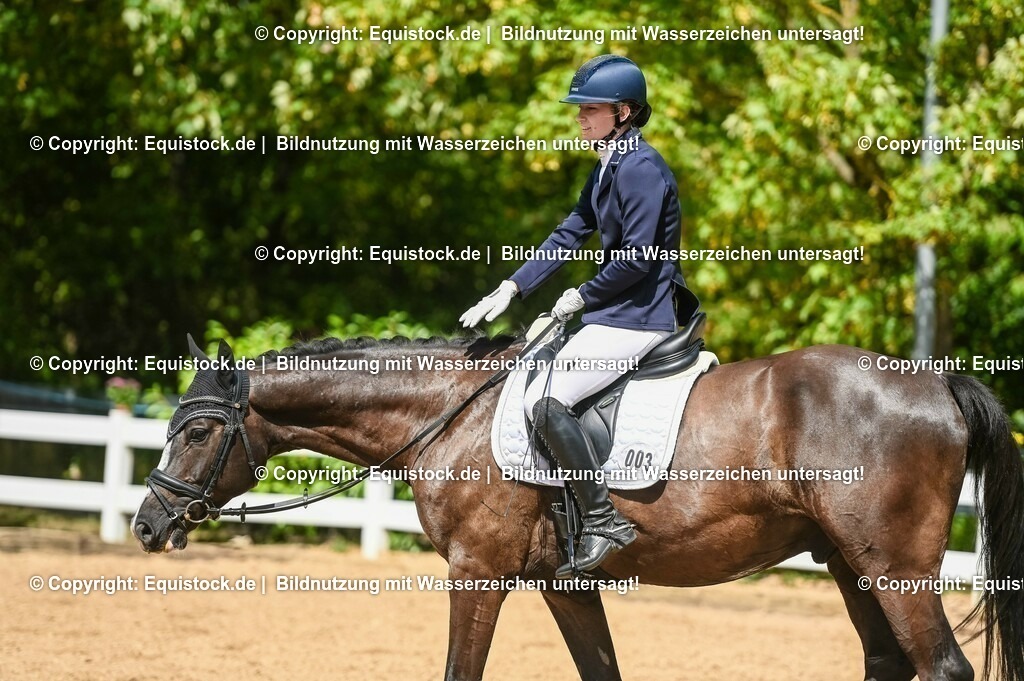 20230715_02_Dressurreiterprüfung Kl.L_0311 | equistock