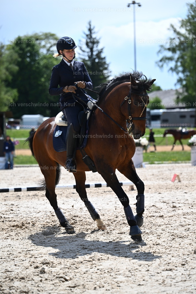 PI26_SP_Sara_Landvogt_226_5752.JPG | working equitationturnier fotograf videograf stoibphotography marixx film working equitation deutschland reitsport turnierfotografie eventfotografie equestrian events