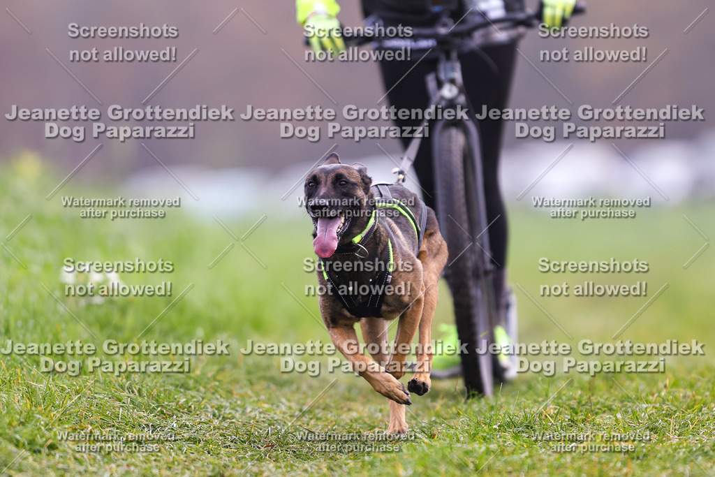 Dog Paparazzi - Visbeck 25 -300 | Dog Paparazzi Jeanette Grottendiek Fotografie & Videografie - Realisiert mit Pictrs.com