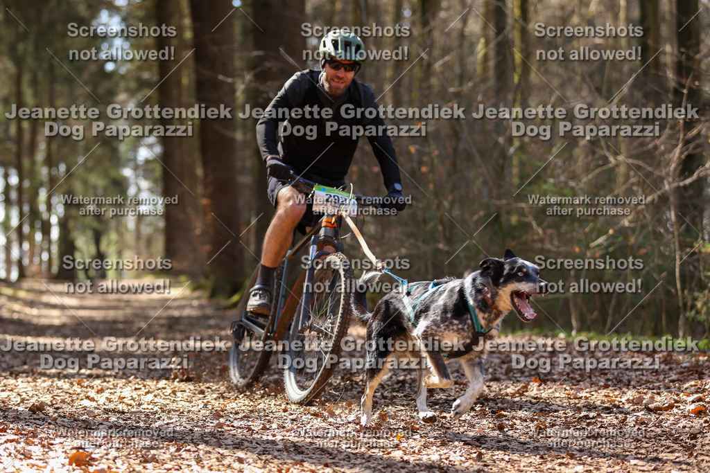 Dog Paparazzi - VCC26-1363 | Dog Paparazzi Jeanette Grottendiek Fotografie & Videografie - Realisiert mit Pictrs.com