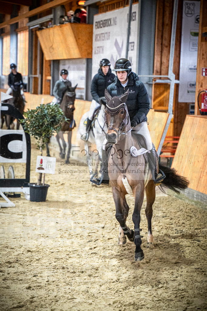 DOS_0075 | Entdecke hochwertige Reitturnierfotos von Foto Oger. Professionell, emotional und authentisch – jetzt Lieblingsmomente im Shop bestellen.Deutschlandweite Turnierfotografie. - Realisiert mit Pictrs.com