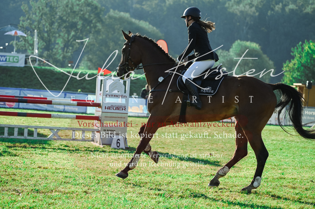 DSC_4526 | Pferde- und Turnierfotografie in Westsachsen. Pferdeportraits, Auftragszeichnungen und intuitive Kunst.