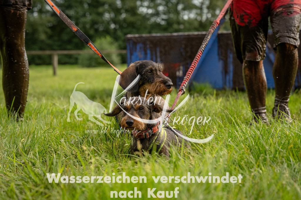 1053_ZZ92833 | kk-dogfotos