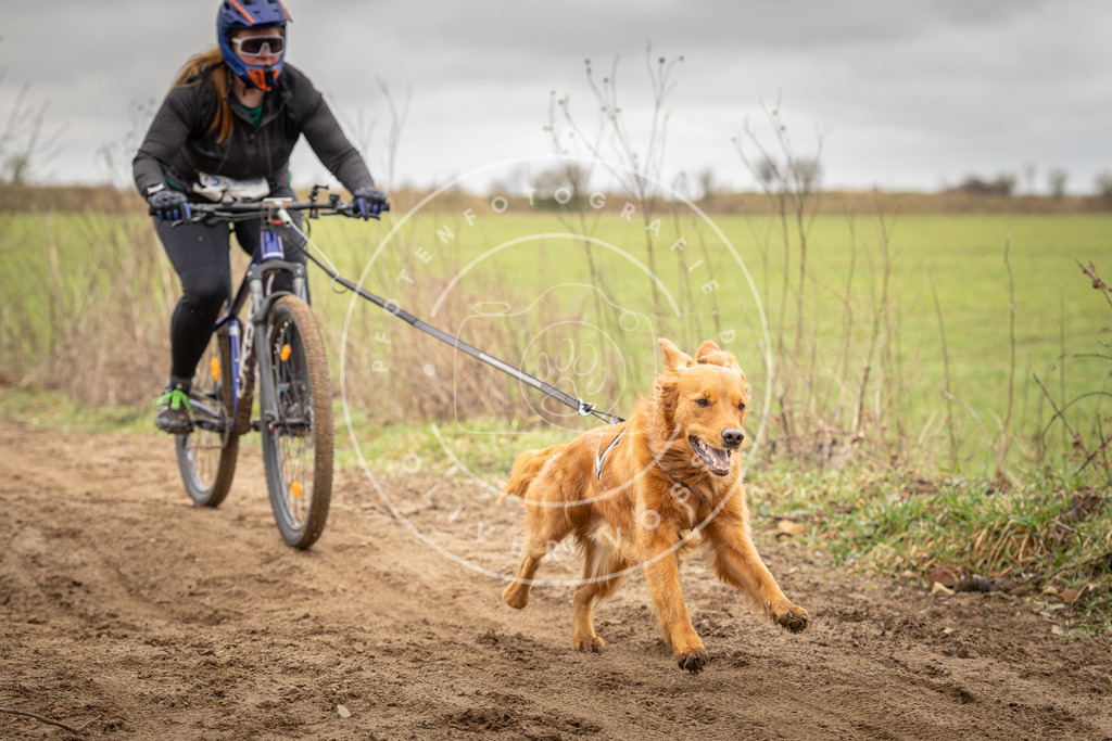 DV3A0995 | Hundefotografie, Tierfotograf, Pfotenfotografie, Fotoshooting Hund, Hunde Portrait, Hundesport, Hundeportraits, Heideshooting, Hunde, Sportfotograf, Hundefotograf, Turnierhundsport, THS,  - Realisiert mit Pictrs.com