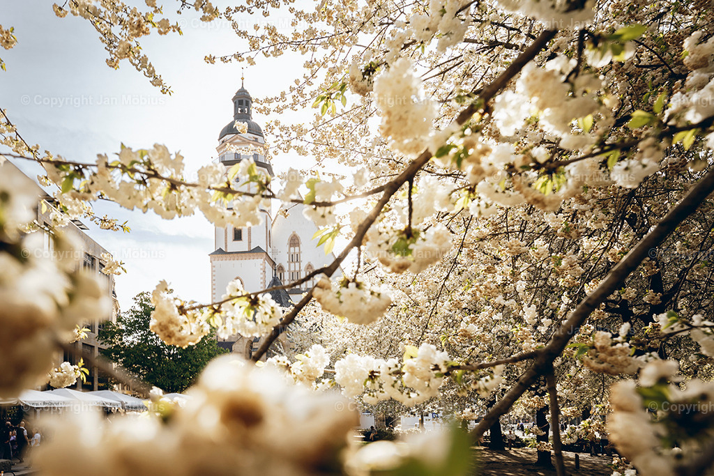_DSC1479 | Leipzig Wandbilder Drucke Prints Leinwand Stadtmotive Leipzig Fotosdruck Kunstdrucke Bilder Leipzig Stadtansichten Acrylglasbilder Leipzig Wanddeko Fine Art Prints Wandbilder Büro Leipzig Bilder Praxis Zuhause Bilderdruck Poster Posterlounge Kunstdrucke - Realisiert mit Pictrs.com