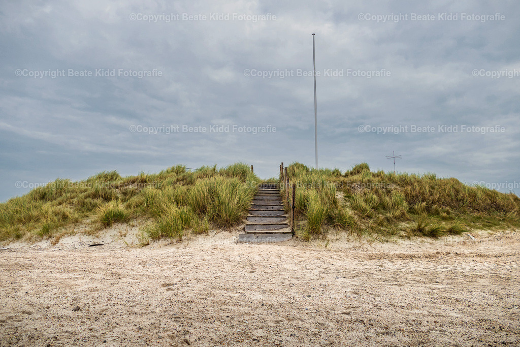 P1200865 | beatekidd-fotografie - Realisiert mit Pictrs.com