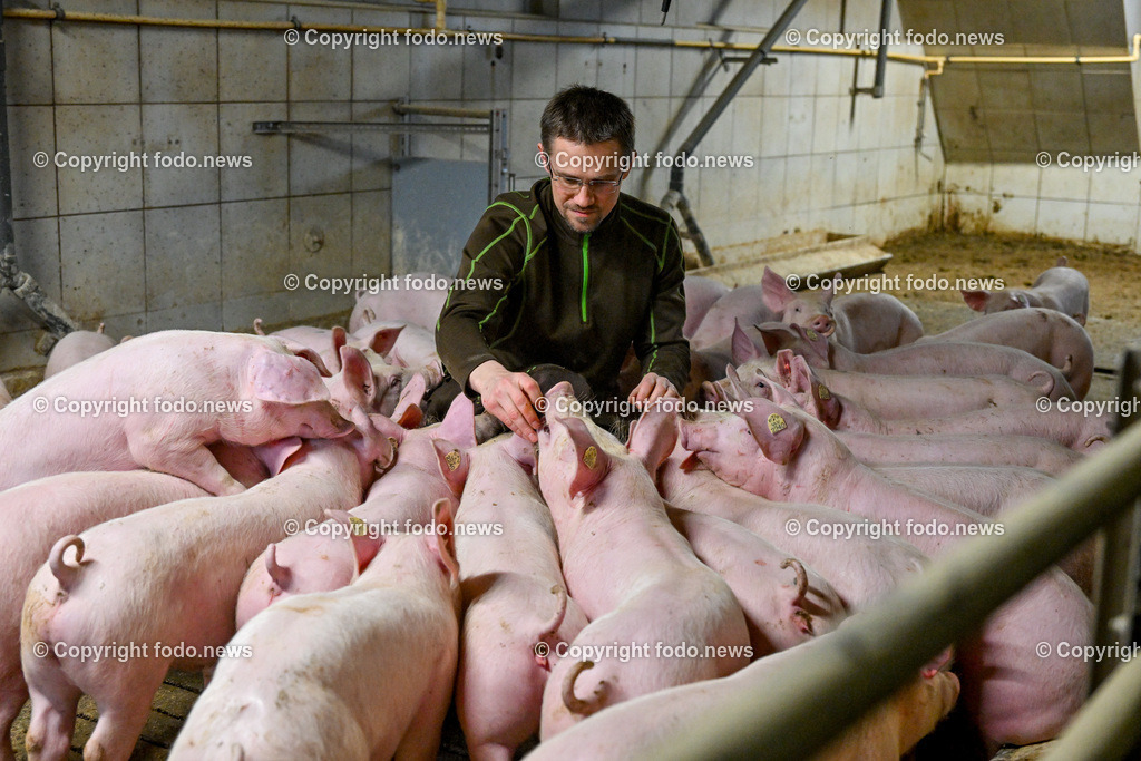Landwirtschaft_ Schweinebauer_ 07.02.2024-7 | 07.02.2024, Obernberg am Inn, AUT, Landwirtschaft, Schweinebauer, im Bild Thomas Reisecker (Schweinebauer)