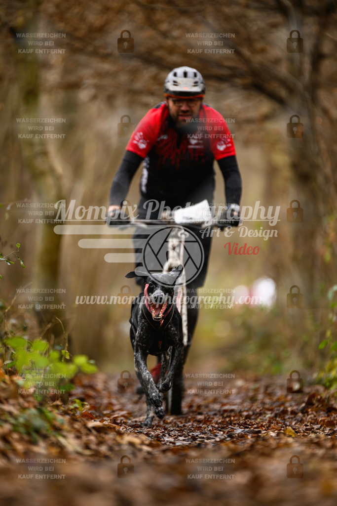 MompixPhotography_Eschau2024_DS1-13 | PayLife