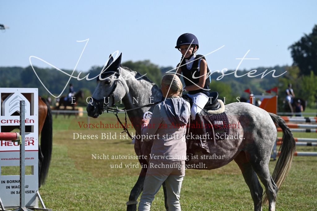 DSC_5362 | Pferde- und Turnierfotografie in Westsachsen. Pferdeportraits, Auftragszeichnungen und intuitive Kunst.