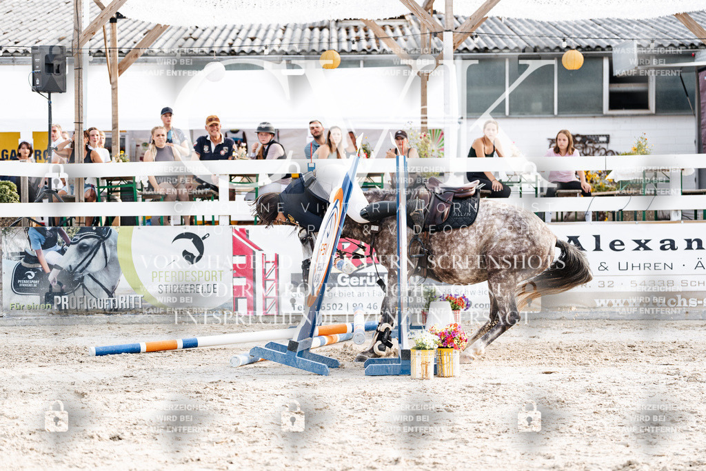 CK907034 | Turnierfotografie Pferdefotografie Trier Rheinland-Pfalz Pferdesport Reitsport Tierfotografie Sportfotografie Pferdevideo Pferdevideografie Equestrianvideography equestrianphotography  - Realisiert mit Pictrs.com
