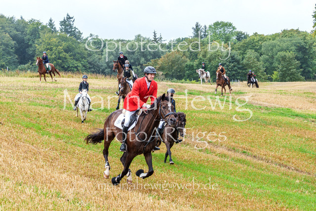 Jagd Kletkamp 26-02884_MarinaHewig | Fotografie, FotoArt, PferdesportArt, Pferdesportfotografie, Landschaftsfotografie, Reisefotografie, Reise, Pferde - Realisiert mit Pictrs.com