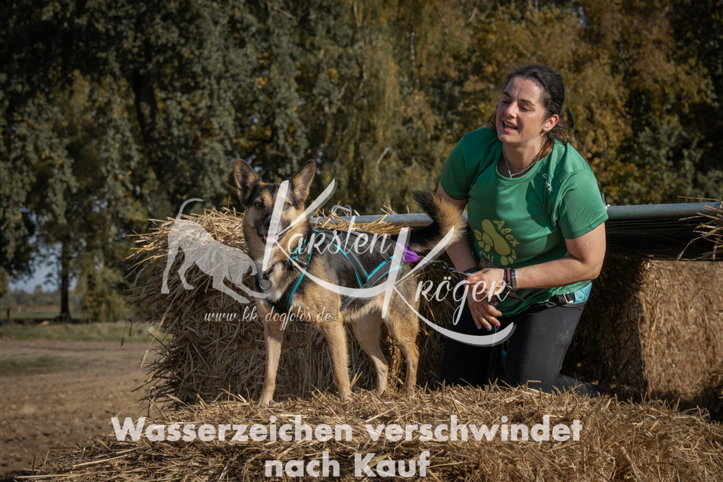 1056_ZZ99688 | kk-dogfotos