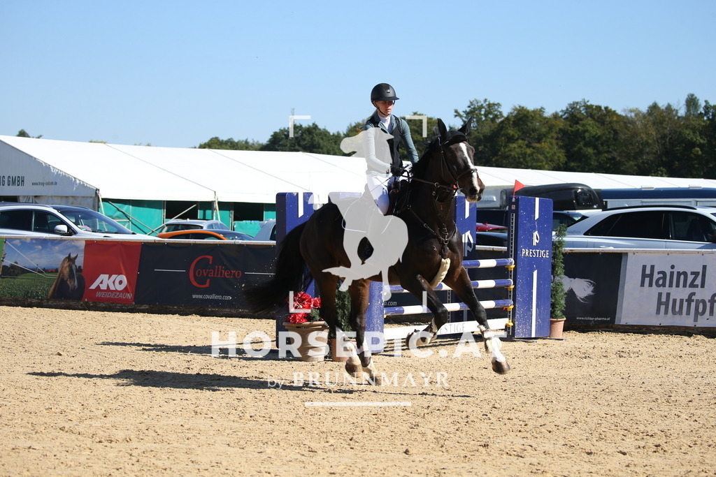 DL2Q2809 | Willkommen bei Brunnmayr - Design & Fotografie – Ihrem Spezialisten für Reitturniere und Pferdeveranstaltungen in Oberösterreich, Salzburg und Bayern! Seit über 17 Jahren sind wir leidenschaftlich dabei.