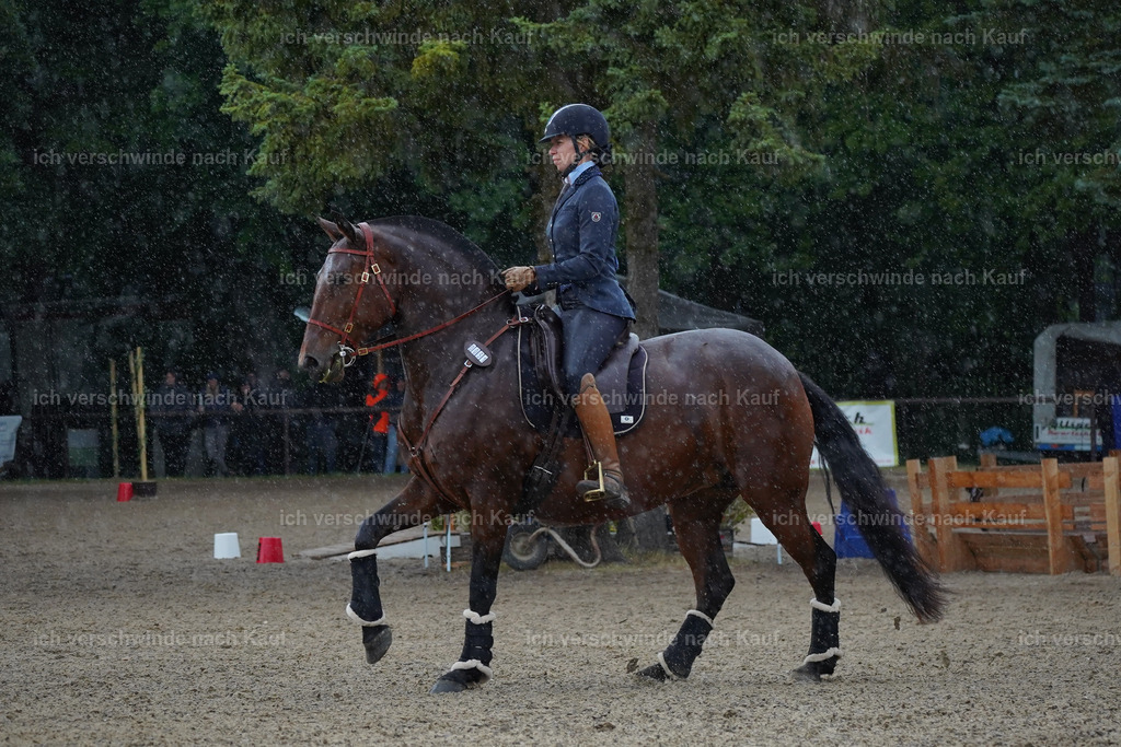KlasseL_Lucie (3) | working equitationturnier fotograf videograf stoibphotography marixx film working equitation deutschland reitsport turnierfotografie eventfotografie equestrian events