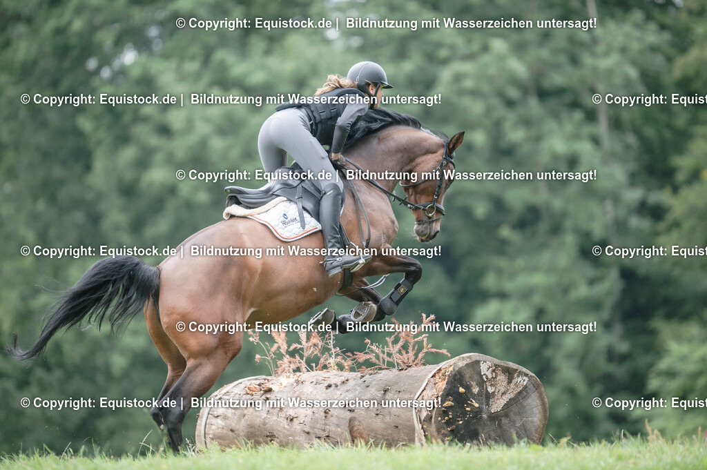20250726_Vielseitigkeitslehrgang-Marbach_0815 | Foto: Thomas Hartig