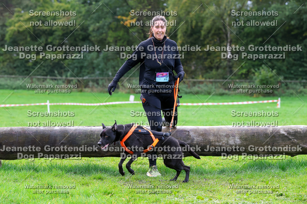 Dog Paparazzi -  SD1026-2196 | Dog Paparazzi Jeanette Grottendiek Fotografie & Videografie - Realisiert mit Pictrs.com