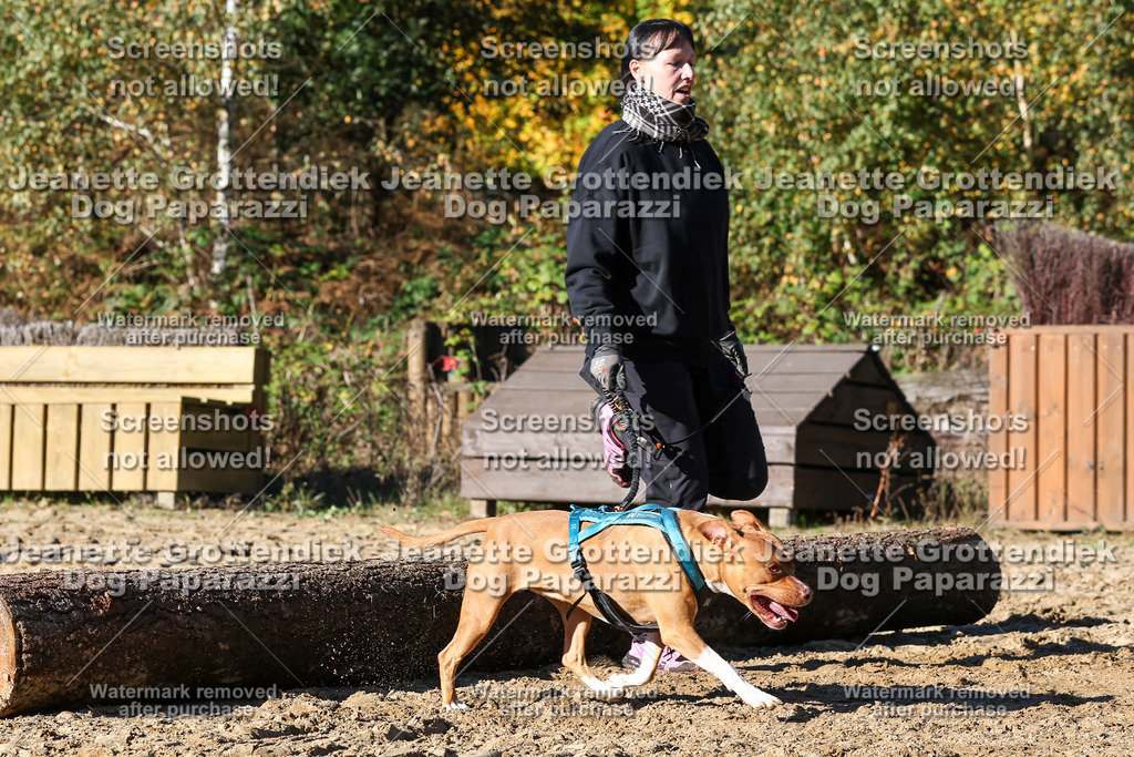 Dog Paparazzi - Strongdog 10-25-2087 | Dog Paparazzi Jeanette Grottendiek Fotografie & Videografie - Realisiert mit Pictrs.com