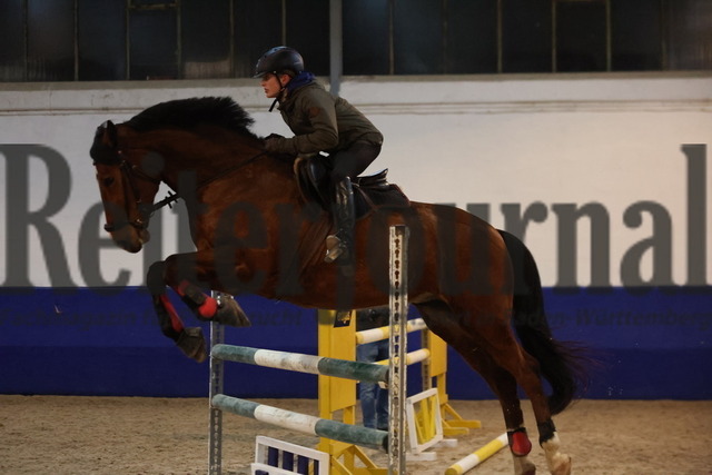 Springlehrgang_Lars Meyer zu bexten_Pforzheim_Gruppe 06 (42) | Alle Fotos der Reiterjournal Fotografin Doris Matthaes im Reiterjournal Online-Fotoshop. - Realisiert mit Pictrs.com